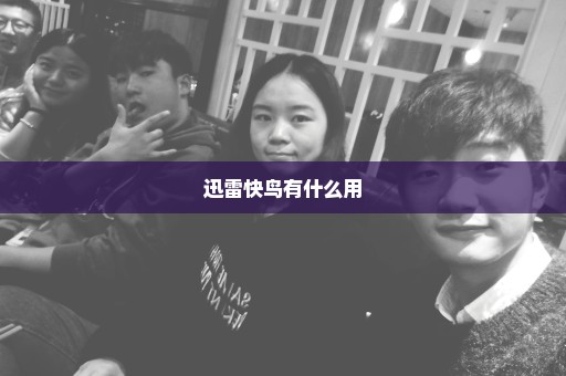 迅雷快鸟有什么用