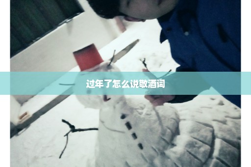 过年了怎么说敬酒词