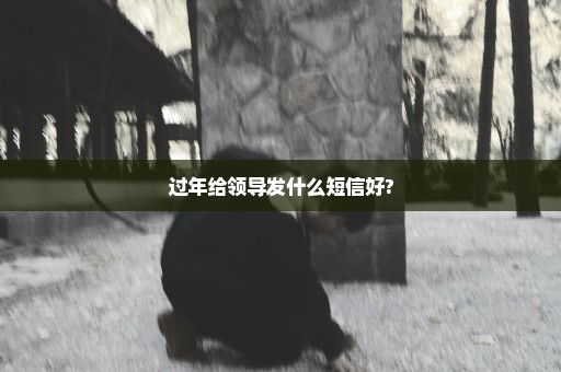 过年给领导发什么短信好?