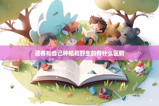 迎客松自己种植和野生的有什么区别