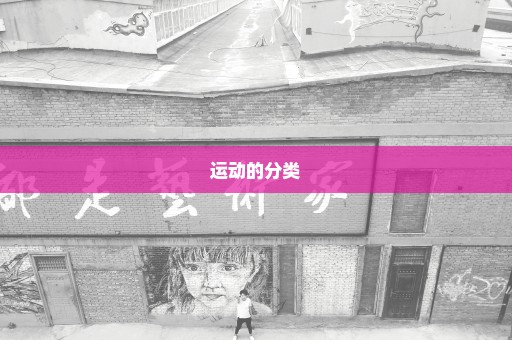 运动的分类