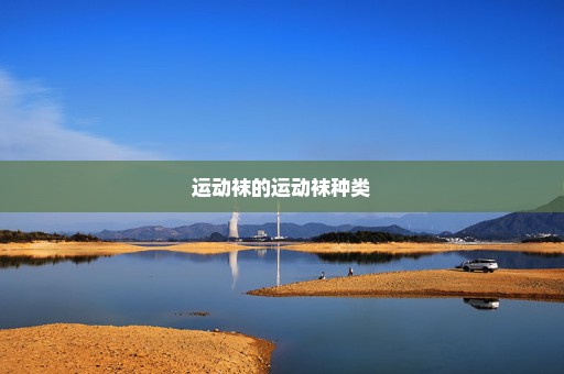 运动袜的运动袜种类