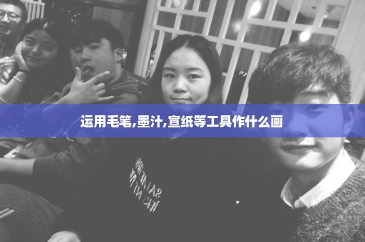 运用毛笔,墨汁,宣纸等工具作什么画