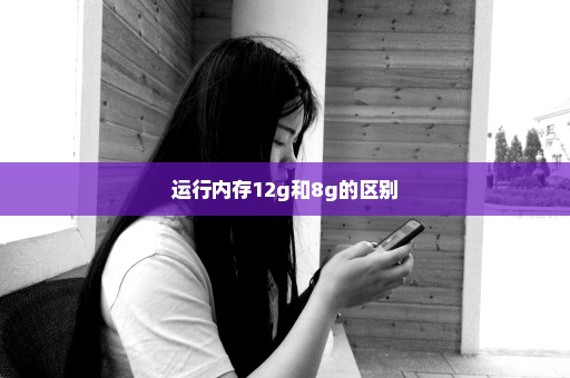 运行内存12g和8g的区别