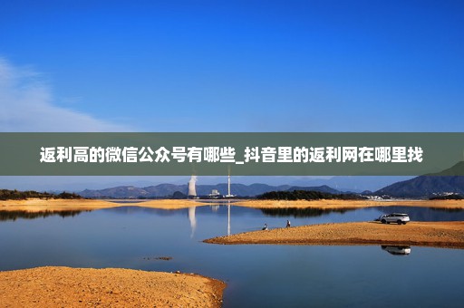 返利高的微信公众号有哪些_抖音里的返利网在哪里找