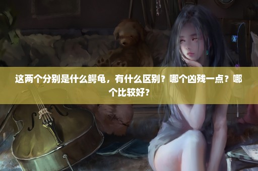 这两个分别是什么鳄龟，有什么区别？哪个凶残一点？哪个比较好？