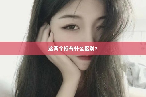 这两个标有什么区别？