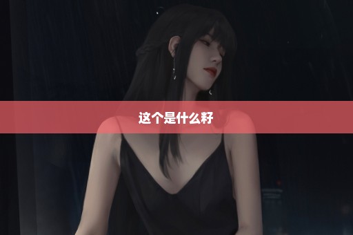 这个是什么籽