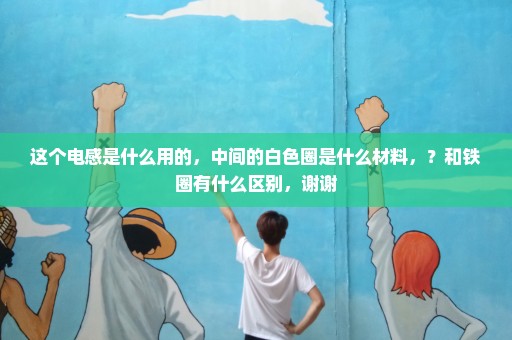 这个电感是什么用的，中间的白色圈是什么材料，？和铁圈有什么区别，谢谢