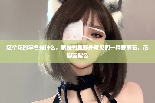 这个花的学名是什么，就是村里野外常见的一种野菊花，花瓣蓝紫色
