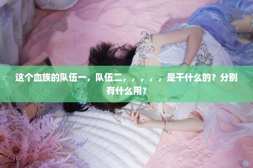 这个血族的队伍一，队伍二，，，，，是干什么的？分别有什么用？