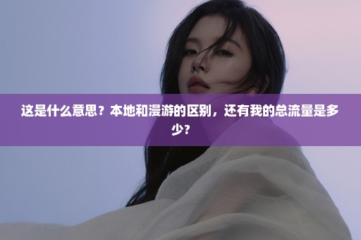 这是什么意思？本地和漫游的区别，还有我的总流量是多少?