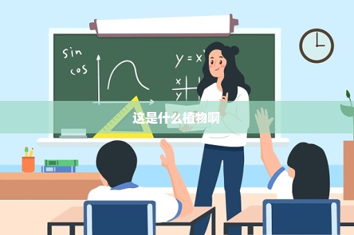这是什么植物啊