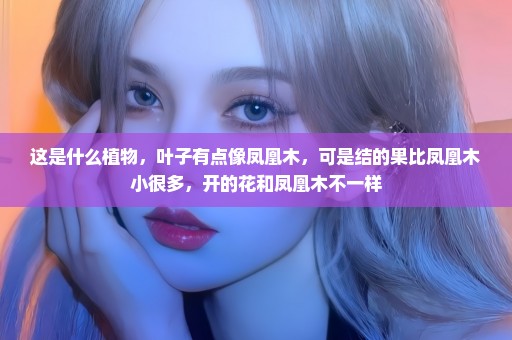 这是什么植物，叶子有点像凤凰木，可是结的果比凤凰木小很多，开的花和凤凰木不一样