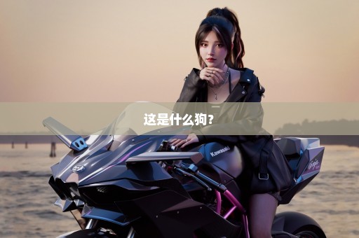 这是什么狗？