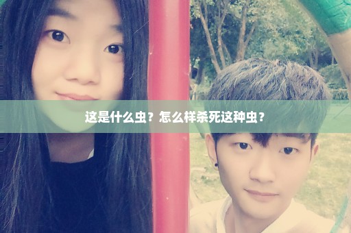 这是什么虫？怎么样杀死这种虫？