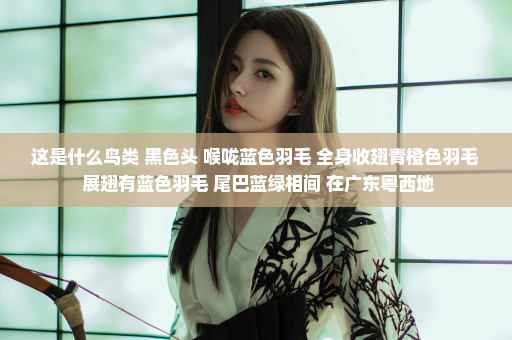 这是什么鸟类 黑色头 喉咙蓝色羽毛 全身收翅青橙色羽毛 展翅有蓝色羽毛 尾巴蓝绿相间 在广东粤西地