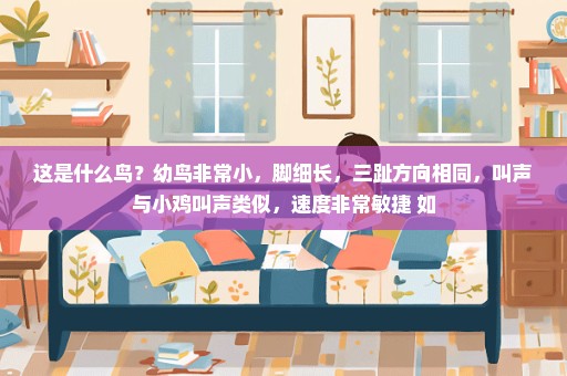 这是什么鸟？幼鸟非常小，脚细长，三趾方向相同，叫声与小鸡叫声类似，速度非常敏捷 如