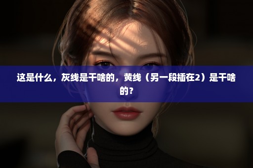 这是什么，灰线是干啥的，黄线（另一段插在2）是干啥的？