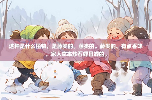 这种是什么植物，是藤类的。藤类的。藤类的。有点香味，家人拿来炒石螺田螺的。