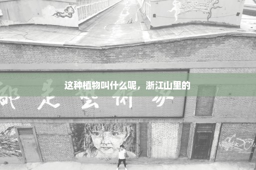这种植物叫什么呢，浙江山里的