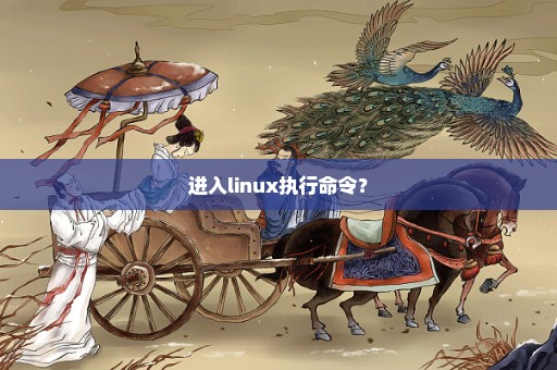 进入linux执行命令？