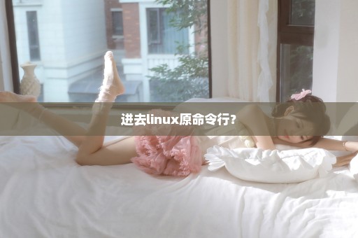 进去linux原命令行？