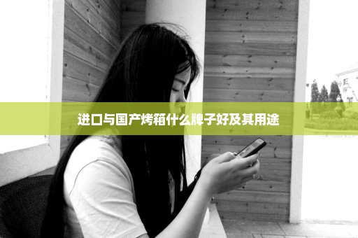 进口与国产烤箱什么牌子好及其用途
