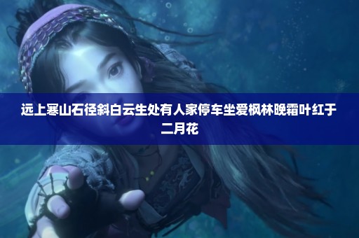 远上寒山石径斜白云生处有人家停车坐爱枫林晚霜叶红于二月花