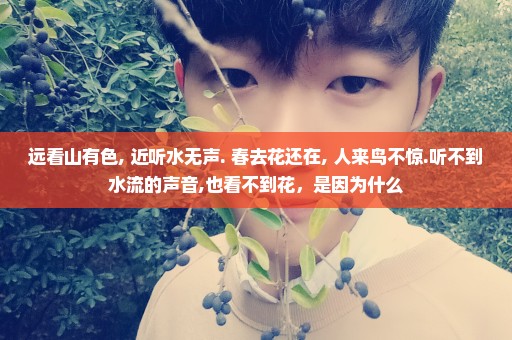 远看山有色, 近听水无声. 春去花还在, 人来鸟不惊.听不到水流的声音,也看不到花，是因为什么