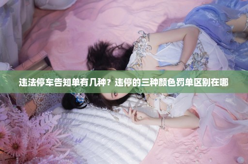 违法停车告知单有几种？违停的三种颜色罚单区别在哪