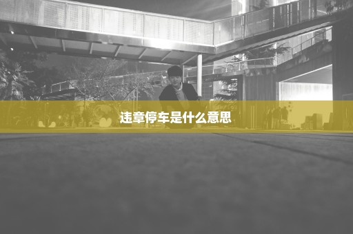 违章停车是什么意思