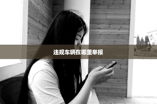 违规车辆在哪里举报