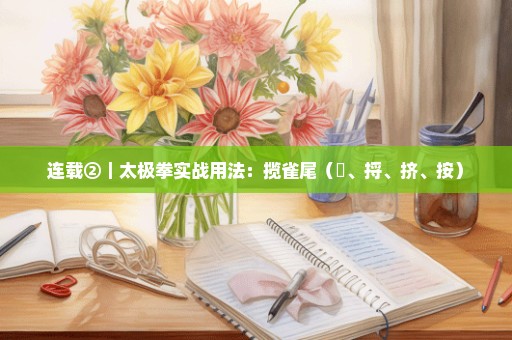 连载②｜太极拳实战用法：揽雀尾（掤、捋、挤、按）