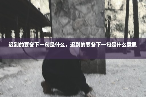 迟到的寒冬下一句是什么，迟到的寒冬下一句是什么意思 