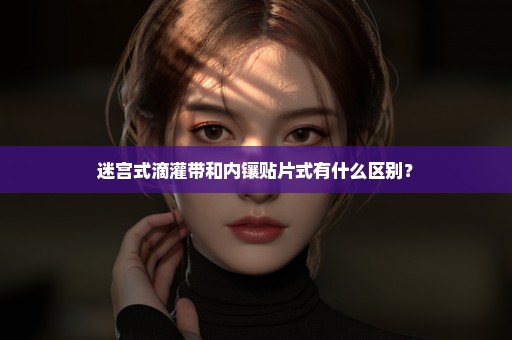 迷宫式滴灌带和内镶贴片式有什么区别？