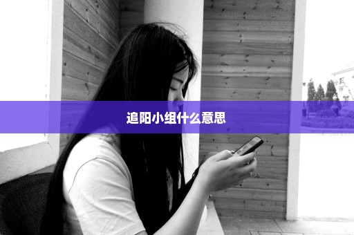 追阳小组什么意思