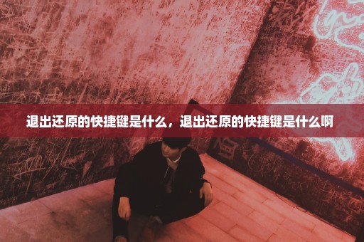 退出还原的快捷键是什么，退出还原的快捷键是什么啊 