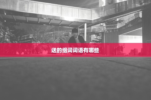 送的组词词语有哪些