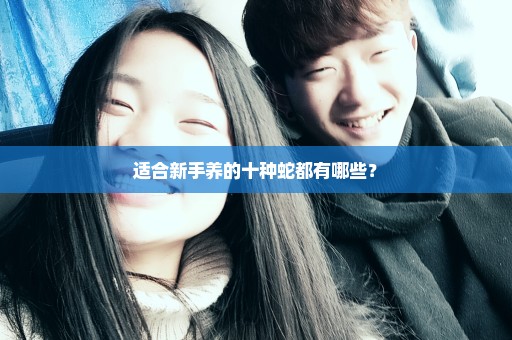 适合新手养的十种蛇都有哪些？