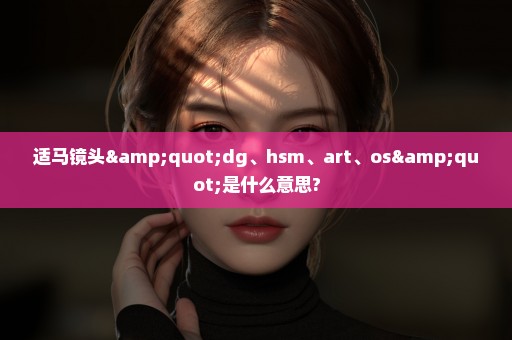 适马镜头"dg、hsm、art、os"是什么意思?