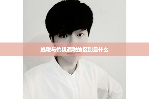 逃税与偷税漏税的区别是什么