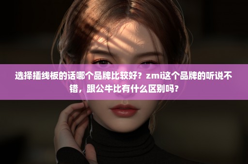 选择插线板的话哪个品牌比较好？zmi这个品牌的听说不错，跟公牛比有什么区别吗？