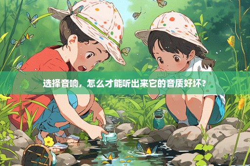 选择音响，怎么才能听出来它的音质好坏？