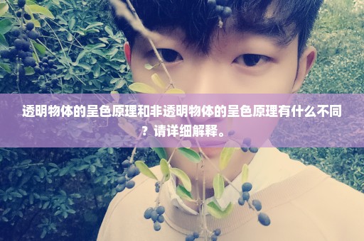 透明物体的呈色原理和非透明物体的呈色原理有什么不同？请详细解释。