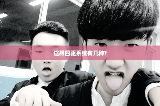 途昂四驱系统有几种?