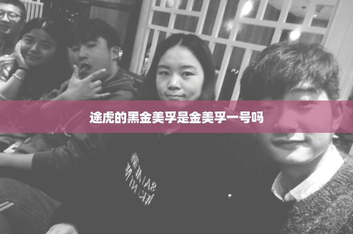 途虎的黑金美孚是金美孚一号吗