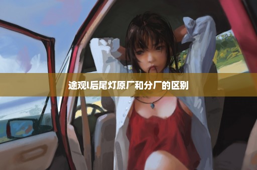 途观l后尾灯原厂和分厂的区别