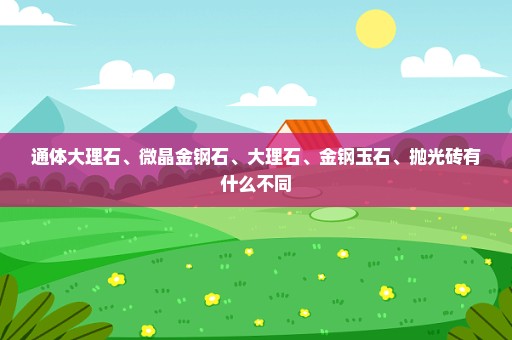 通体大理石、微晶金钢石、大理石、金钢玉石、抛光砖有什么不同
