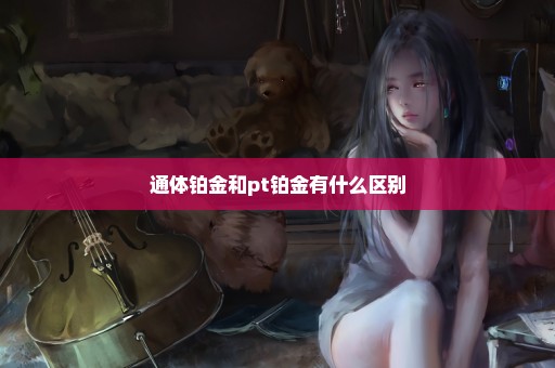 通体铂金和pt铂金有什么区别
